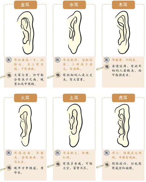 耳朵大面相|十六种耳朵面相图文分析三六风水网